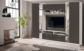 ШМЦ Вена  91.01 с зеркалом в Купино - kypino.mebelnovo.ru | фото